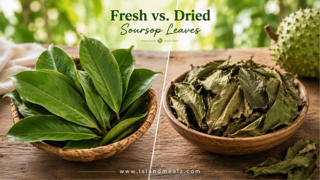 Fresh vs. Dried Soursop Leaves